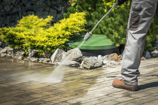 Best Fence Cleaning  in Hammond, WI