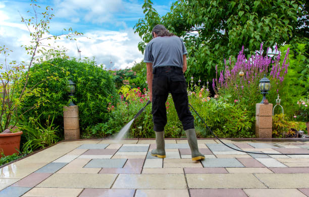 Best Sidewalk and Walkway Cleaning  in Hammond, WI