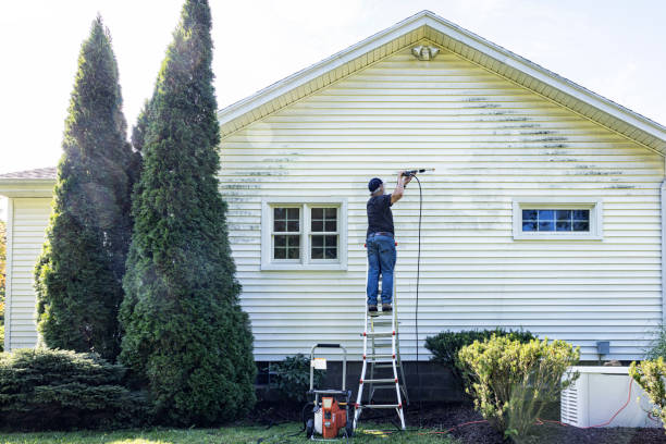 Best Driveway Pressure Washing  in Hammond, WI